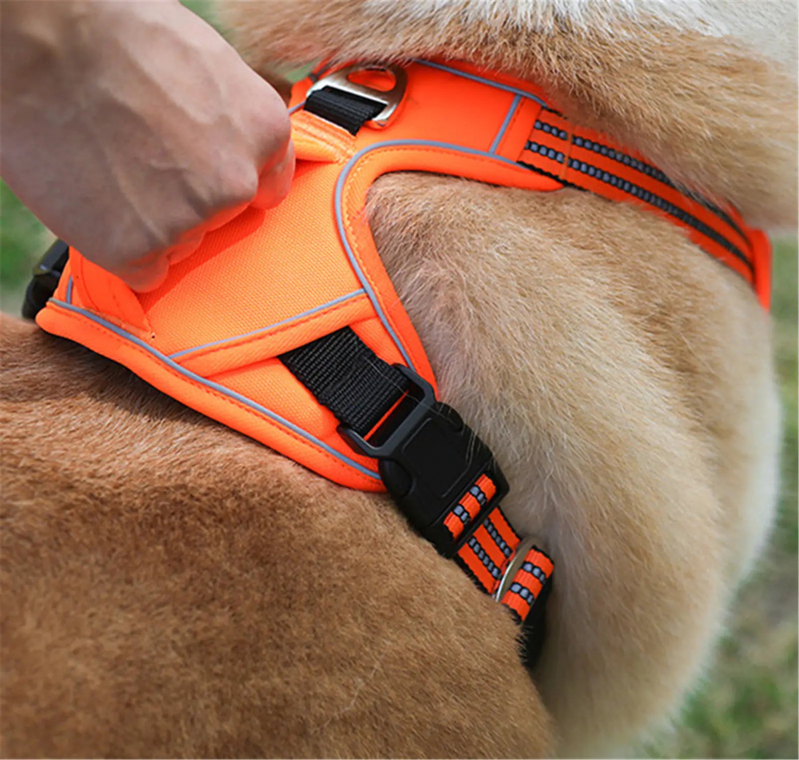 Premium No-Pull Waterproof Dog Harness